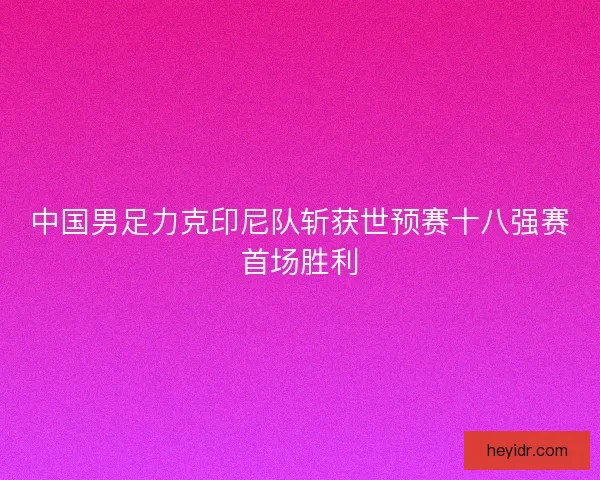 中国男足力克印尼队斩获世预赛十八强赛首场胜利 中国男足力克印尼队斩获世预赛十八强赛首场胜利